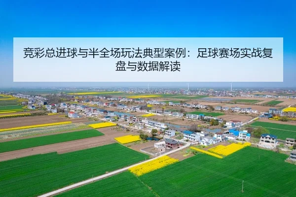 竞彩总进球与半全场玩法典型案例：足球赛场实战复盘与数据解读